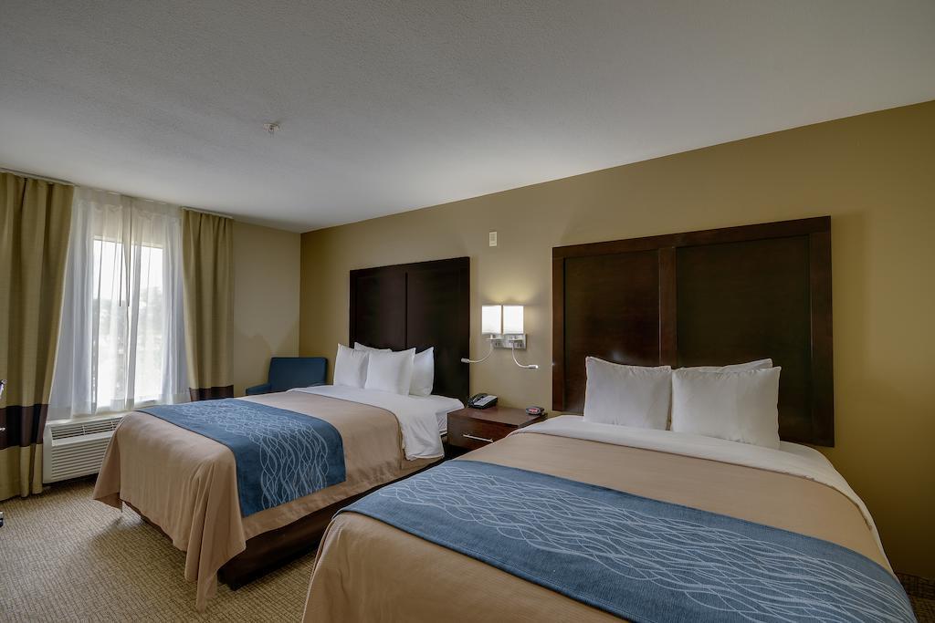 Comfort Inn & Suites Fm1960-Champions Houston Luaran gambar